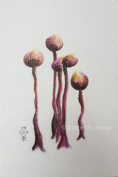 Fungi #2 © KirstenKKester.com | Kirsten K. Kester