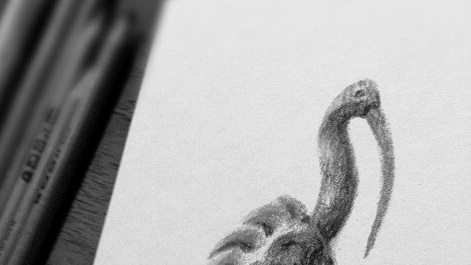 © Kirsten K. Kester.com | Kirsten K. Kester