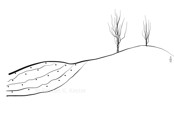 II © Kirsten K. Kester.com | Kirsten K. Kester