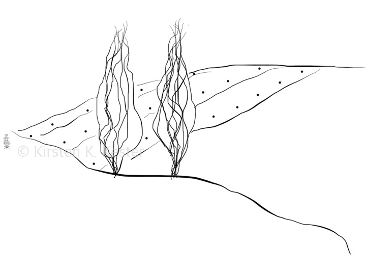 IV © Kirsten K. Kester.com | Kirsten K. Kester