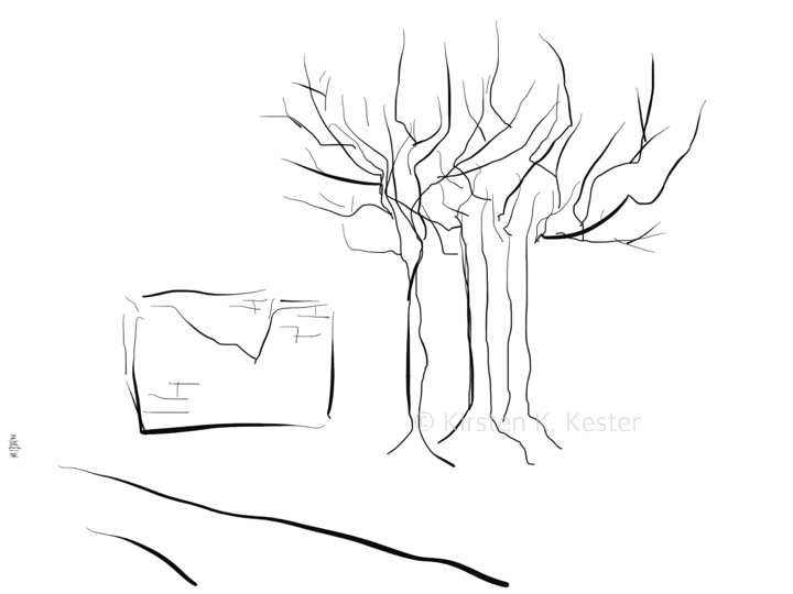 XI © Kirsten K. Kester.com | Kirsten K. Kester