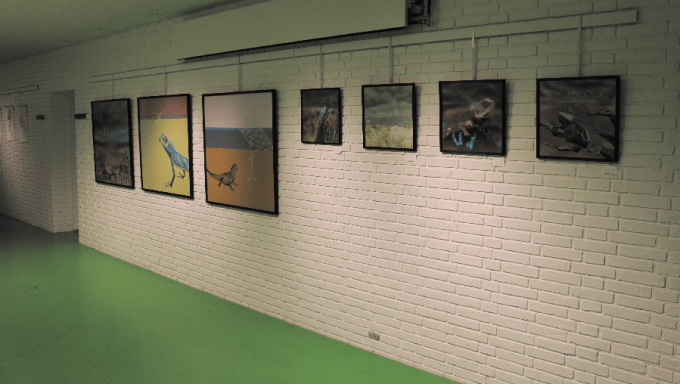 My artworks from the exhibition at Herlev Kunstforening © KirstenKKester.com | Kirsten K. Kester