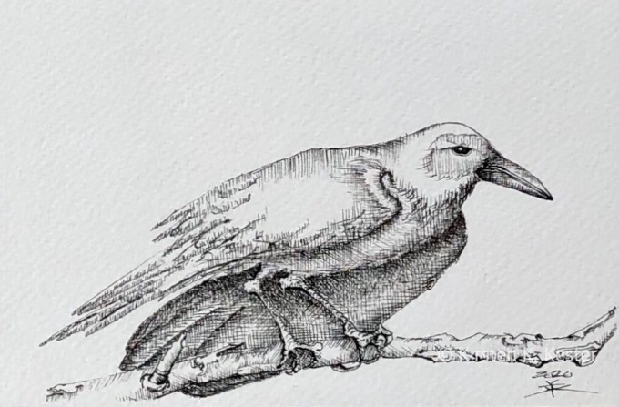 Serie: Riv Ravn Ruskende © KirstenKKester.com | Kirsten K. Kester