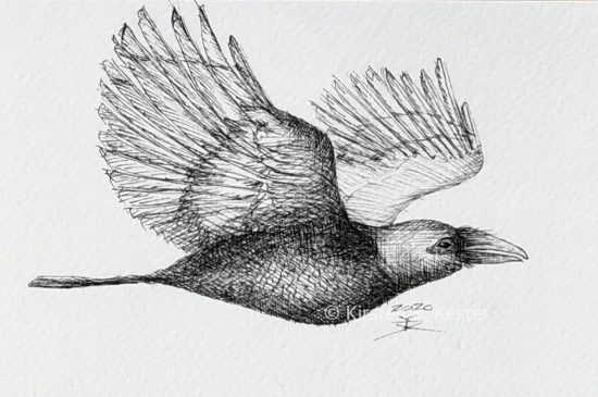 Serie: Riv Ravn Ruskende © KirstenKKester.com | Kirsten K. Kester