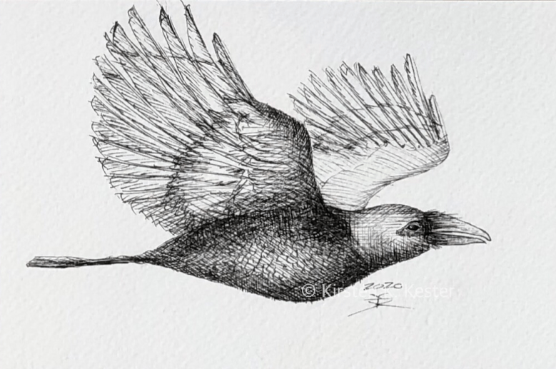 Serie: Riv Ravn Ruskende © KirstenKKester.com | Kirsten K. Kester