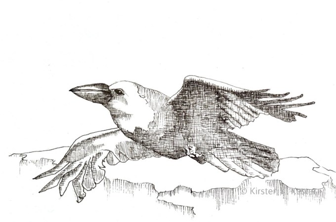 Serie: Riv Ravn Ruskende © KirstenKKester.com | Kirsten K. Kester