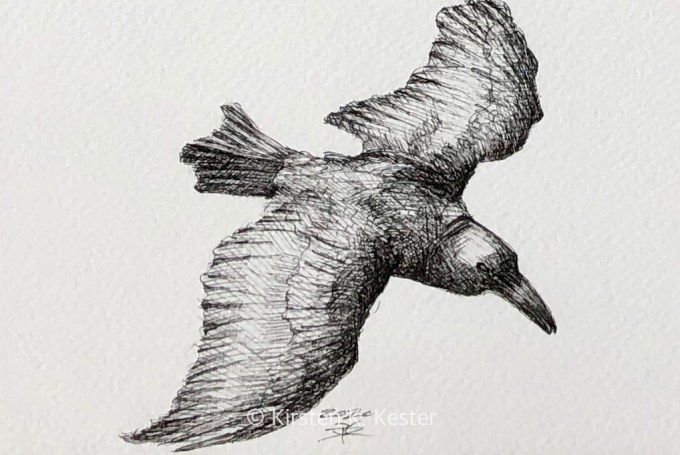 Serie: Riv Ravn Ruskende © KirstenKKester.com | Kirsten K. Kester