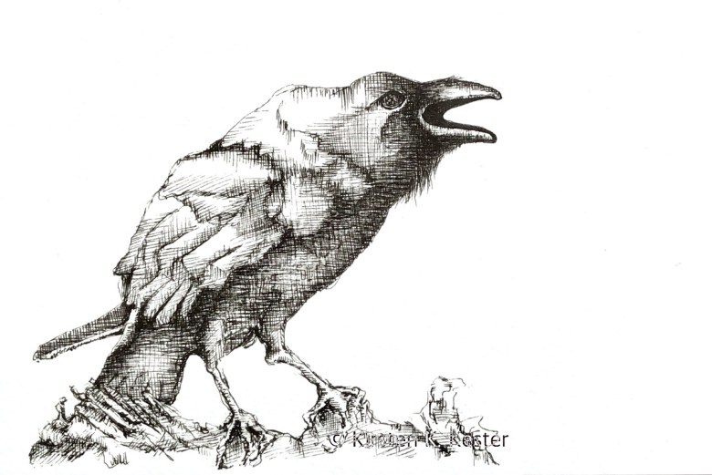 Serie: Riv Ravn Ruskende © KirstenKKester.com | Kirsten K. Kester