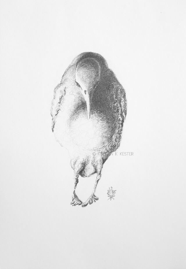 MUK © KirstenKKester.com | Kirsten K. Kester