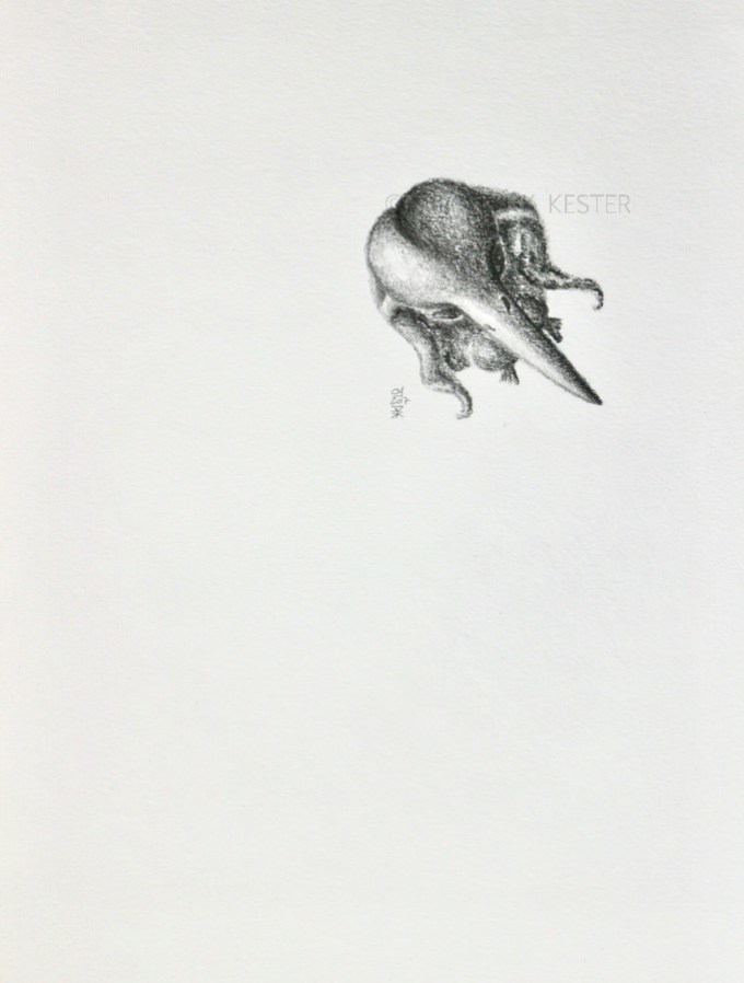 MUK © KirstenKKester.com | Kirsten K. Kester