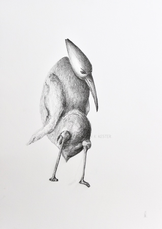 MUK © KirstenKKester.com | Kirsten K. Kester