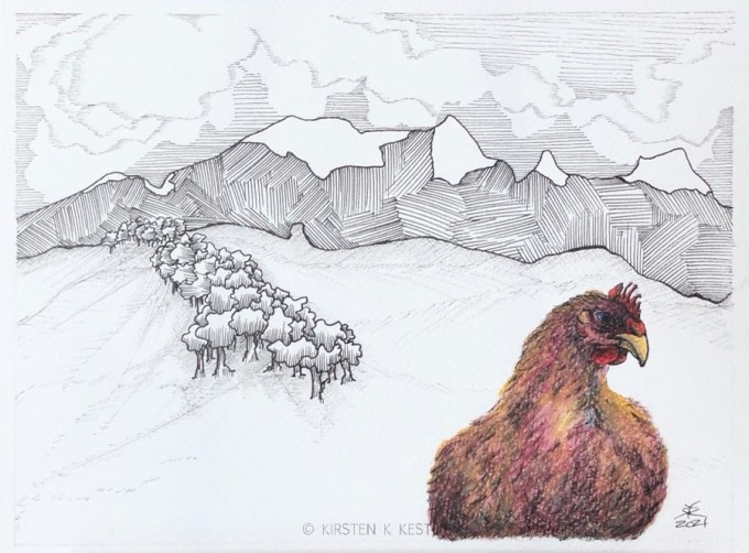 Hønen Helga, langt ude/ The Hen Helga, on the far side © KirstenKKester.com | Kirsten K. Kester