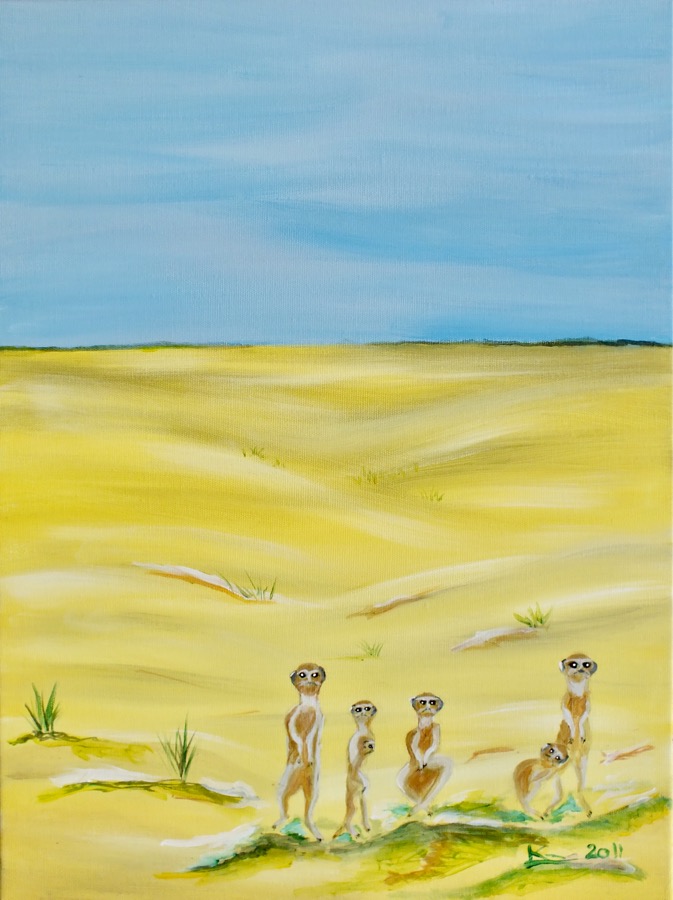 Exhibition La Paz, Mexico 2011 © KirstenKKester.com | Kirsten K. Kester