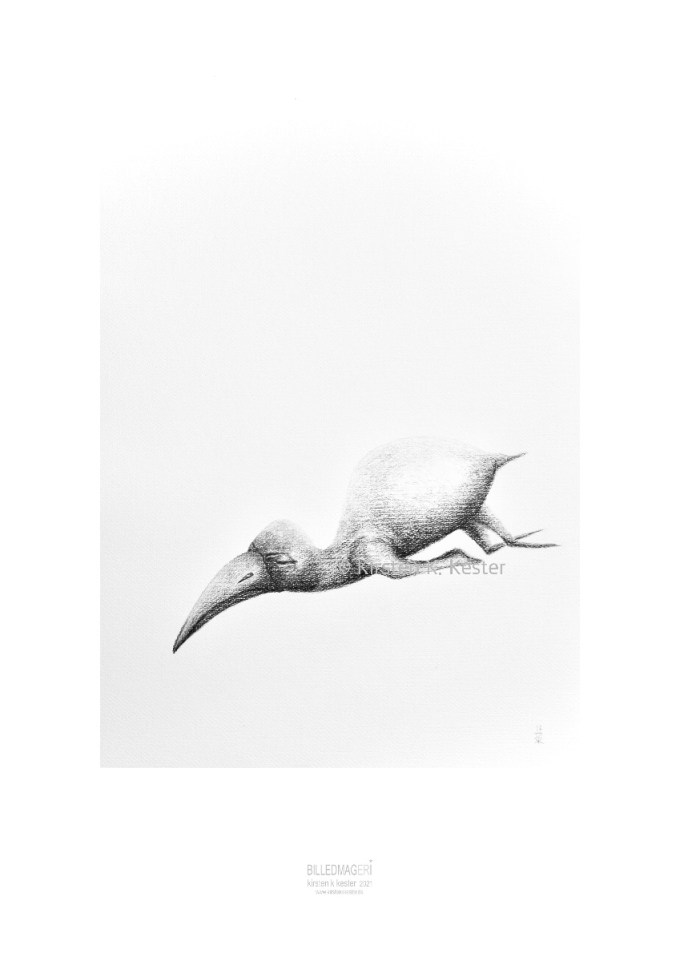 Billedmageri 2021 © KirstenKKester.com | Kirsten K. Kester