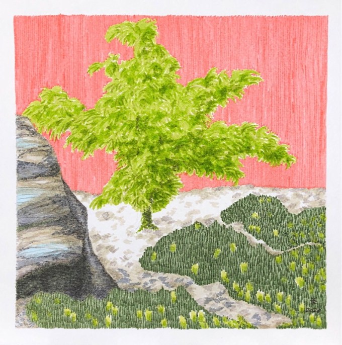 Ahorn © KirstenKKester.com | Kirsten K. Kester