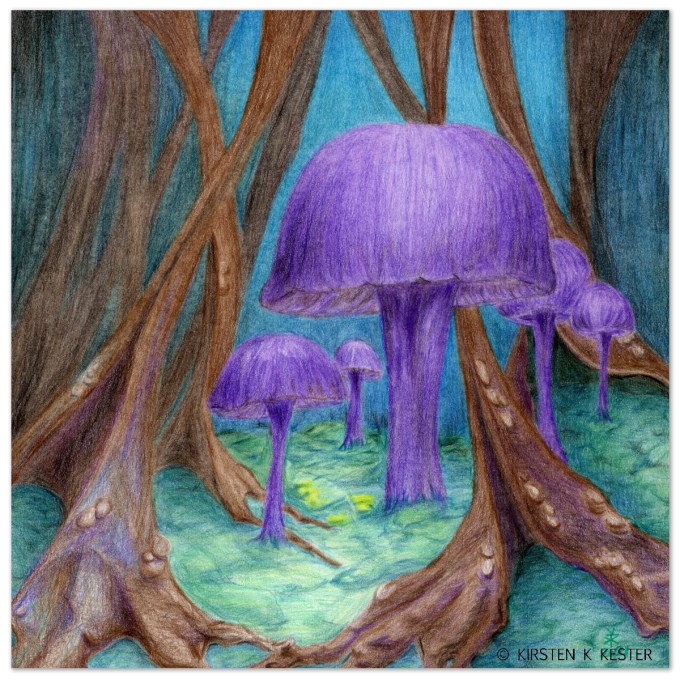 Violet ametysthat (Laccaria amethystina) @ Kirsten K Kester | kirstenkkester.com