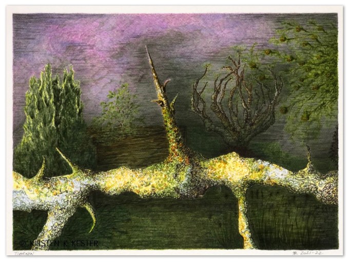 Tjørnen © KirstenKKester.com | Kirsten K. Kester