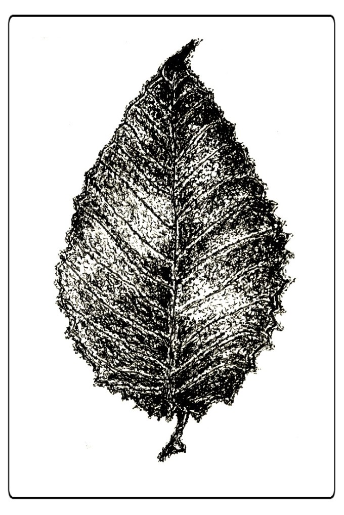 Kommende udstillinger © KirstenKKester.com | Kirsten K. Kester