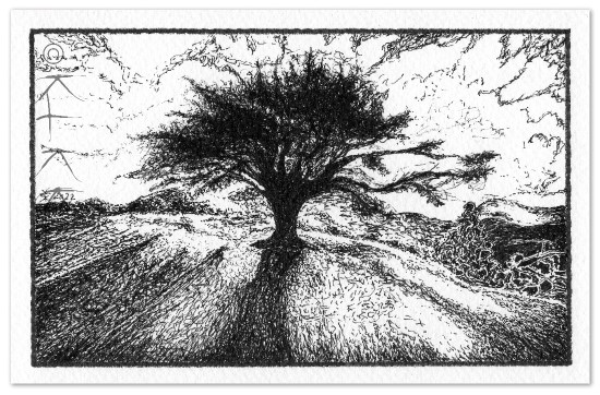 Ex.03 © KirstenKKester.com | Kirsten K. Kester