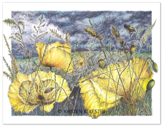 Grøftekanten © KirstenKKester.com | Kirsten K. Kester