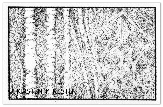 Fabulerende Fortællinger © KirstenKKester.com | Kirsten K. Kester