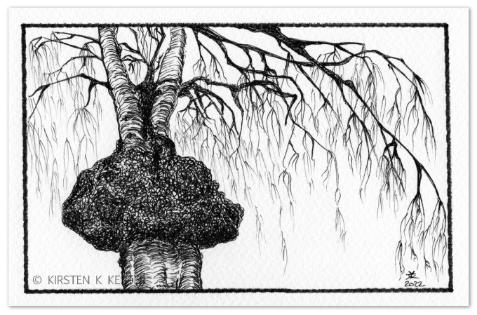 Fabulerende Fortællinger © KirstenKKester.com | Kirsten K. Kester