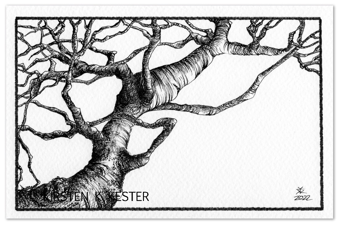 Fabulerende Fortællinger © KirstenKKester.com | Kirsten K. Kester