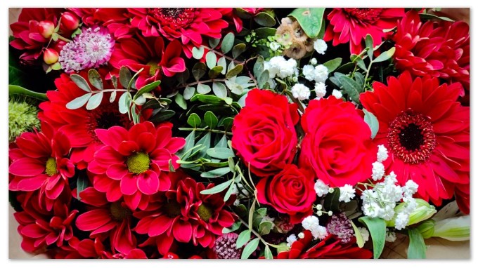 Blomster til fernisering v. udstilling i den gamle staldbygning i Hangaards Have 2023 © KirstenKKester.com | Kirsten K. Kester