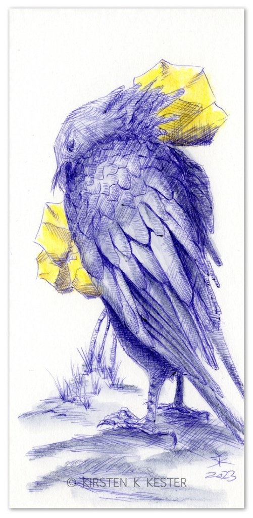 Blå Ravn III, 2023 © KirstenKKester.com | Kirsten K. Kester
