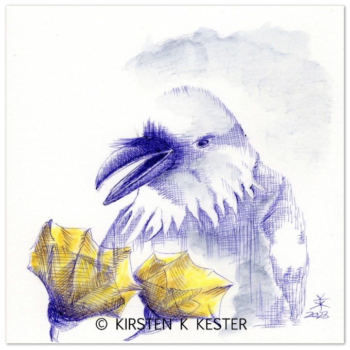 Blå ravn II, 2023 © KirstenKKester.com | Kirsten K. Kester