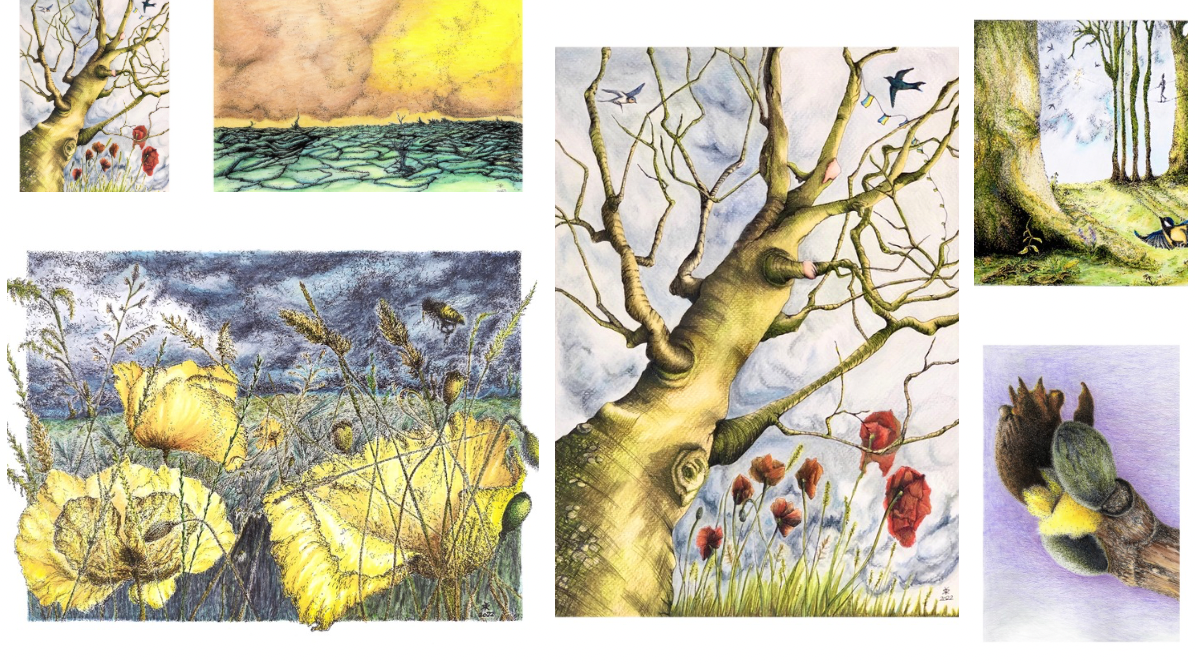 Shop, kort © KirstenKKester.com | Kirsten K. Kester