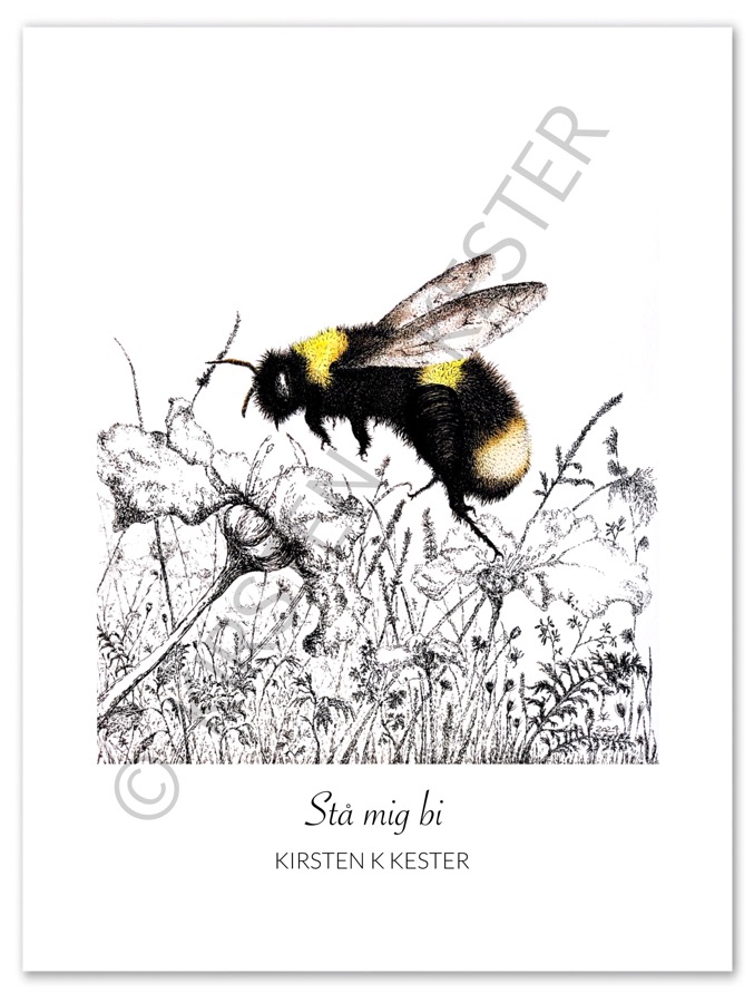 Plakater, Brumbassen © KirstenKKester.com | Kirsten K. Kester